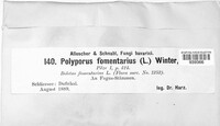 Fomes fomentarius image